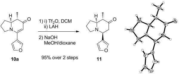 Scheme 4