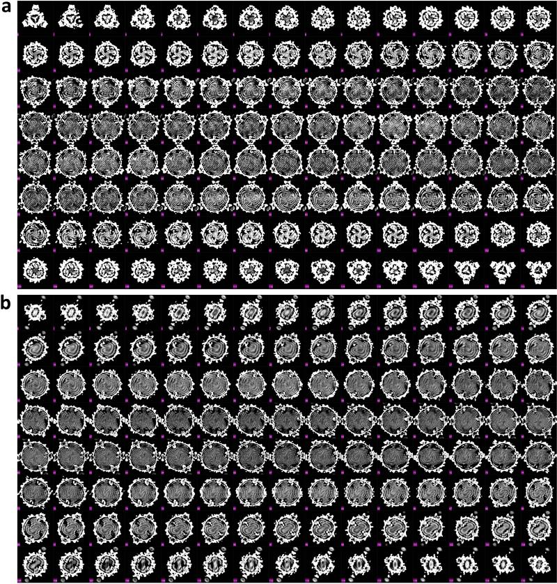 Extended Data Figure 3