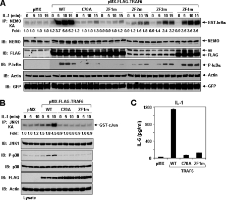 FIGURE 2.