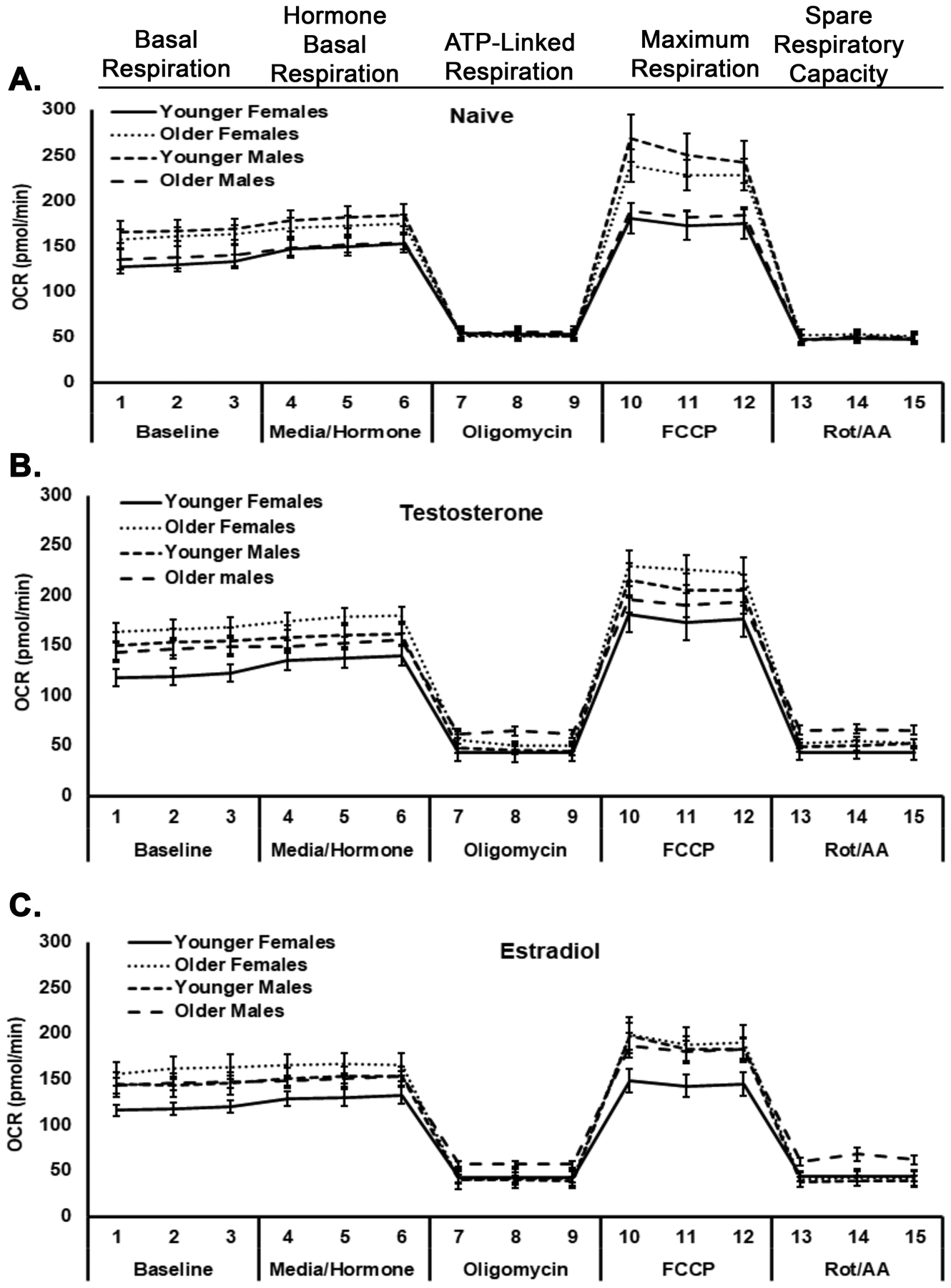 Figure 3.