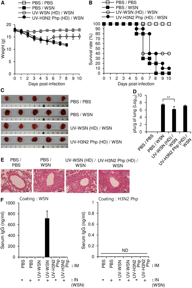 Fig 4