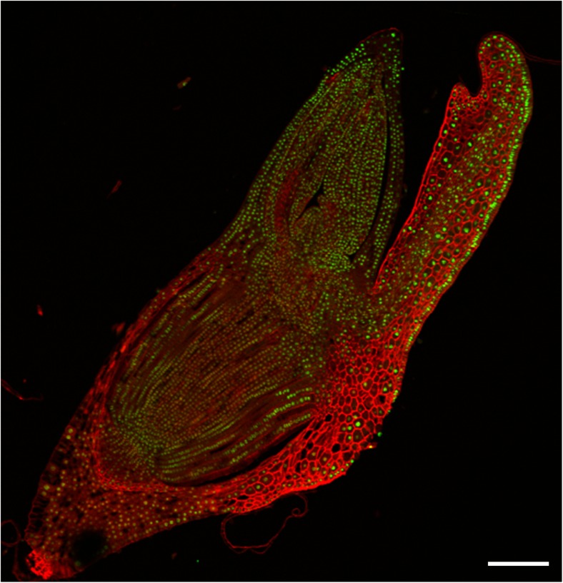 Fig. 2