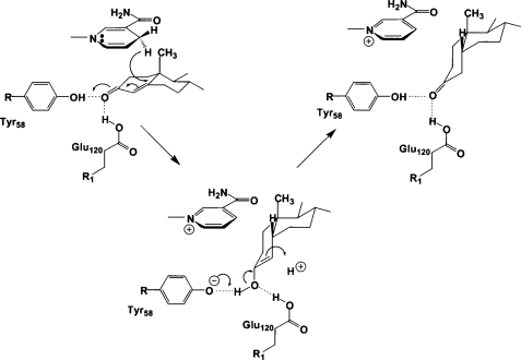 FIGURE 9.