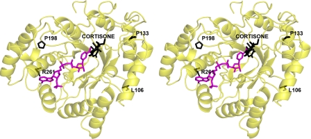 FIGURE 7.