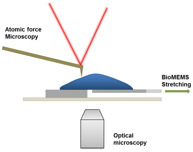 Figure 7