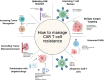 Image, graphical abstract