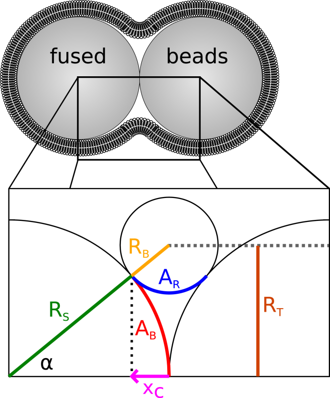 Figure 8