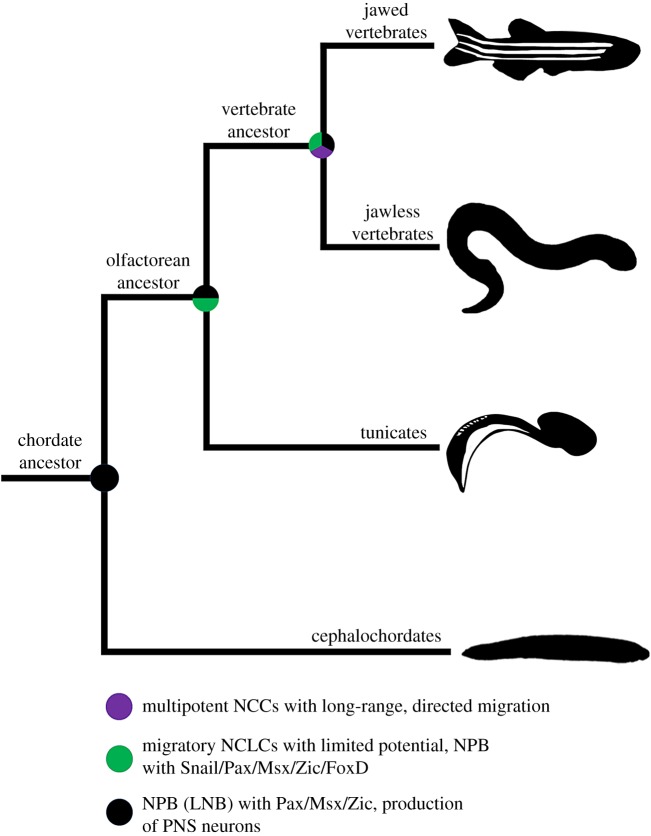 Figure 4.