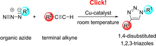 Scheme 20