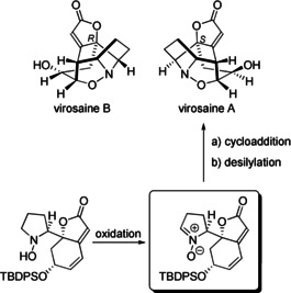 Scheme 17