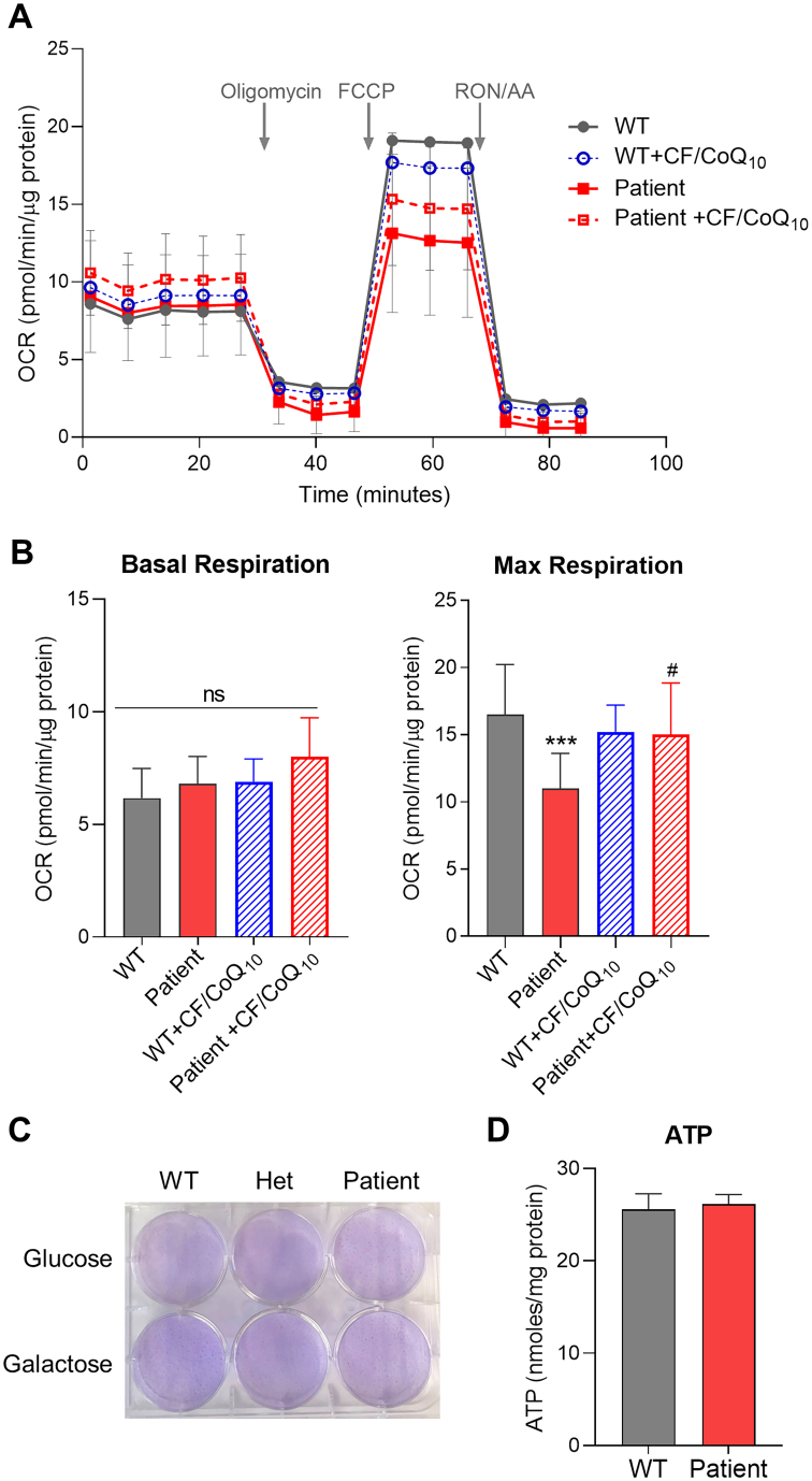 Fig. 3