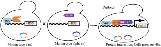 Fig. 11.1