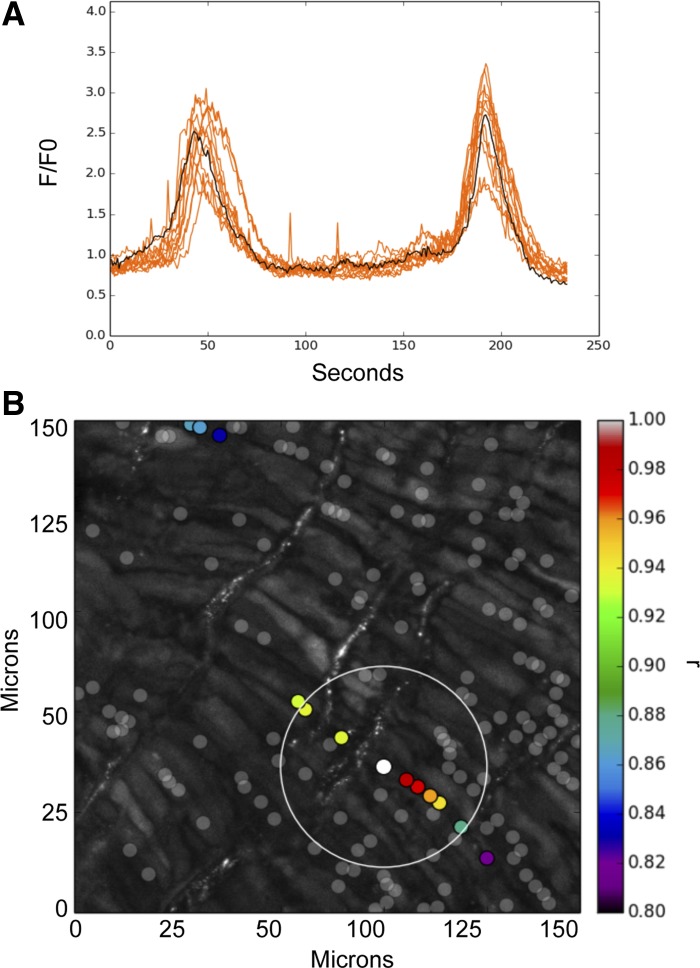 Fig. 3.