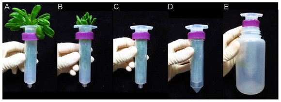 Figure 3.