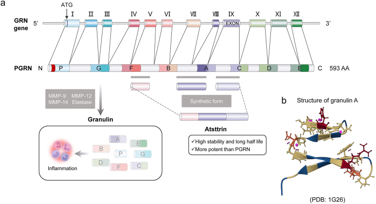 Figure 1