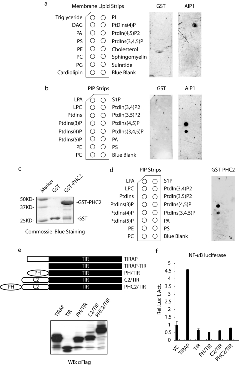 FIGURE 3.