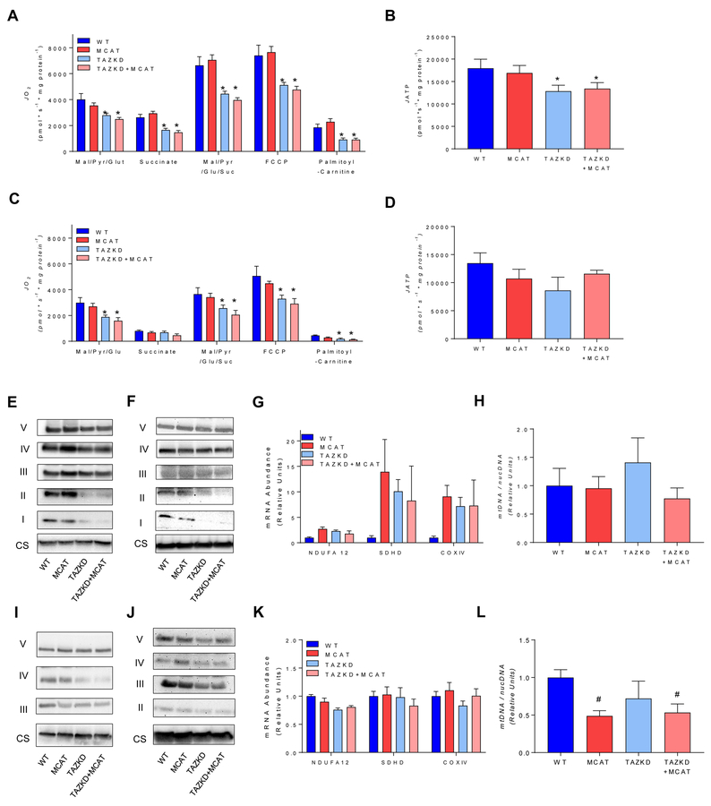 Figure 4: