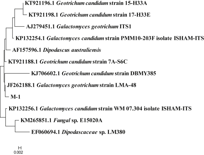 Fig. 3