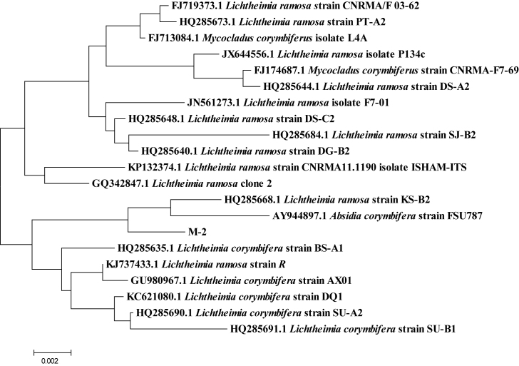 Fig. 4