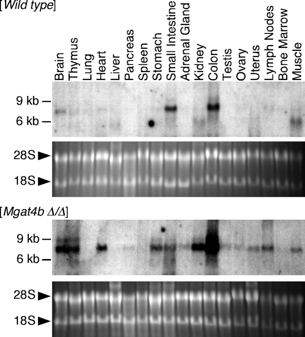 Fig. 2.