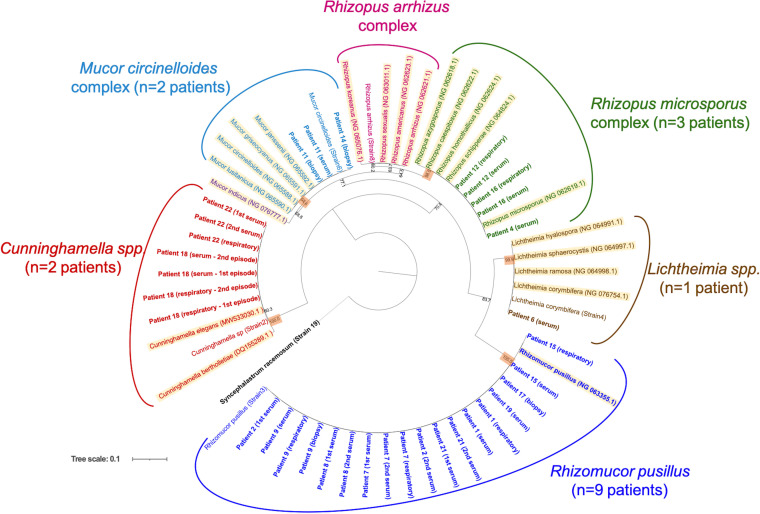 FIG 1