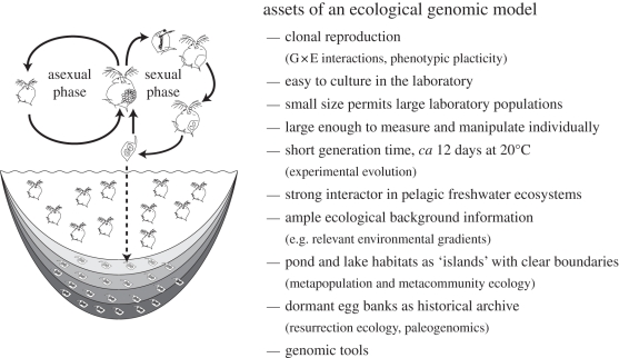 Figure 1.