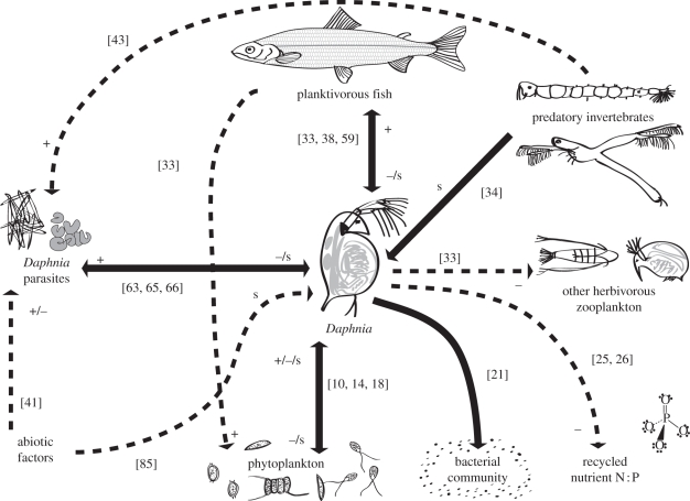 Figure 2.