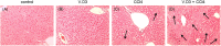 Fig 7