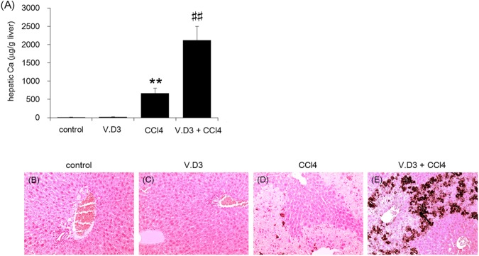 Fig 10