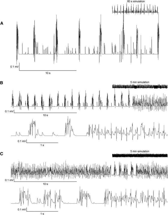 Figure 6.