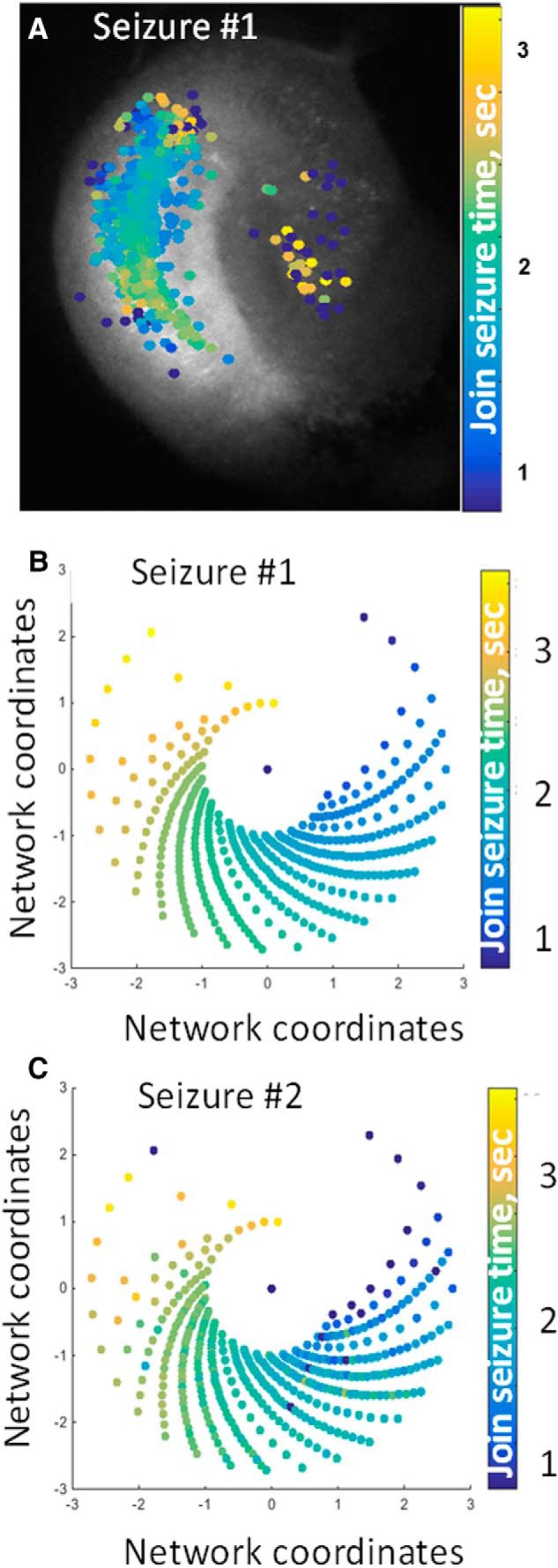 Figure 11.