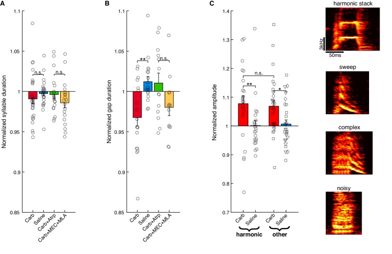 Figure 1—figure supplement 1.