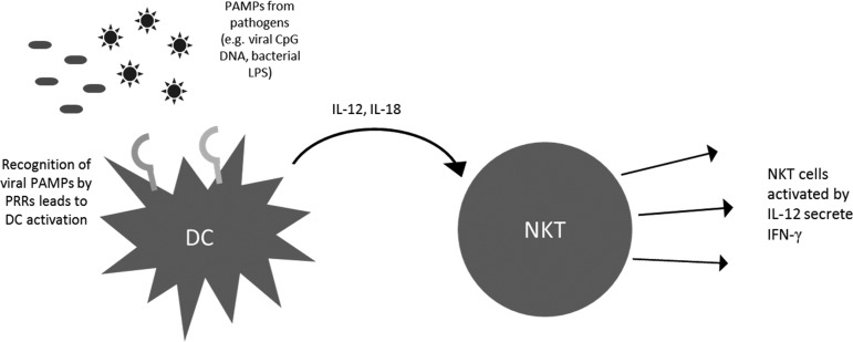 FIG. 6.