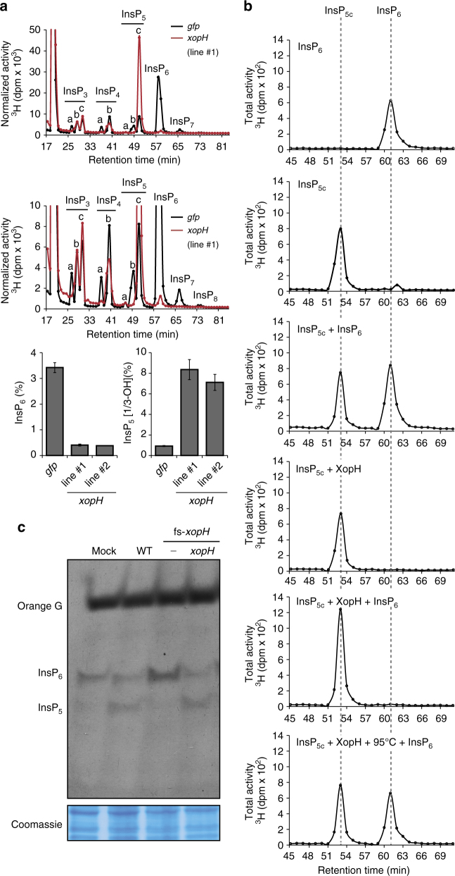 Fig. 7