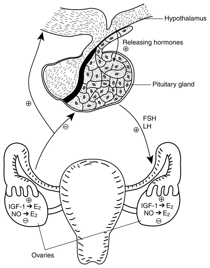 graphic file with name arcr-25-4-271f1.jpg