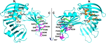 FIGURE 9.