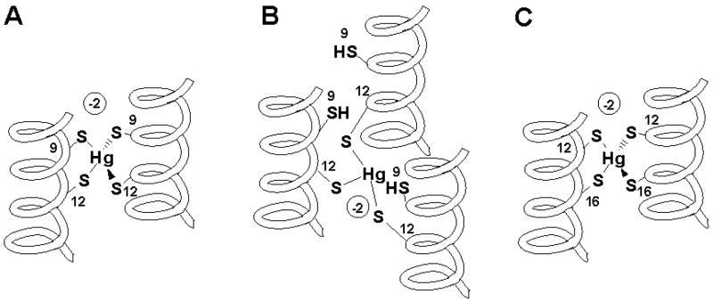 Scheme 3