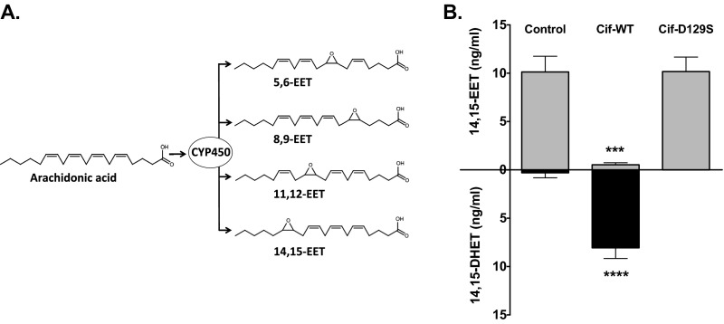 Fig. S1.