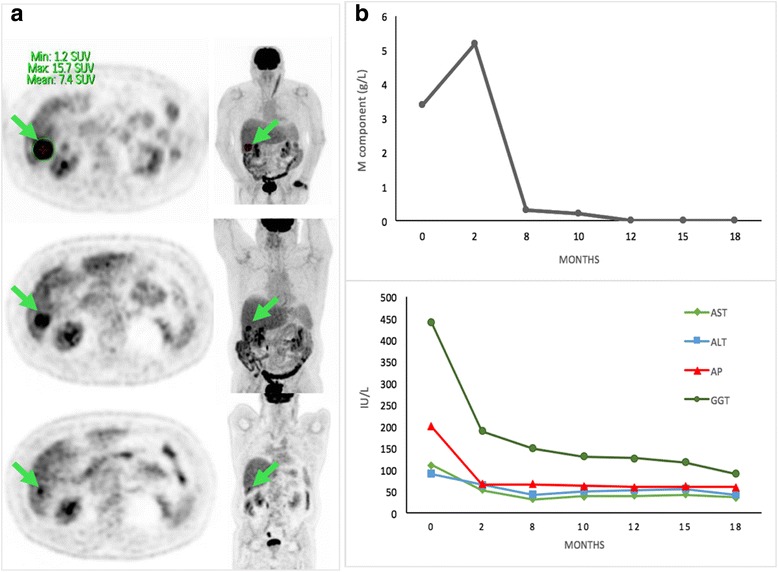 Fig. 2