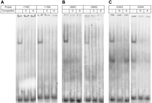 Figure  3