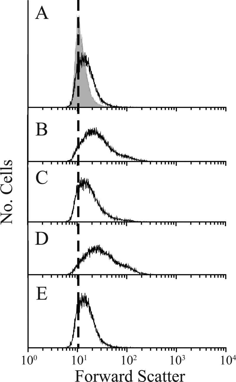 Fig 5