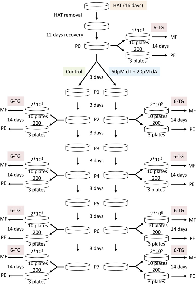 Fig. S5.