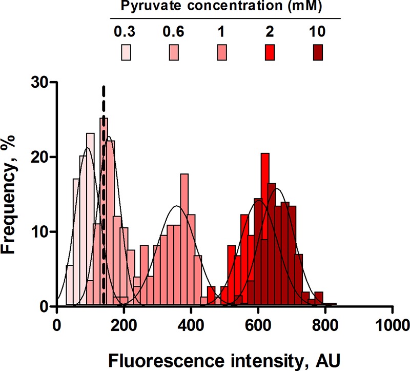 FIG 3