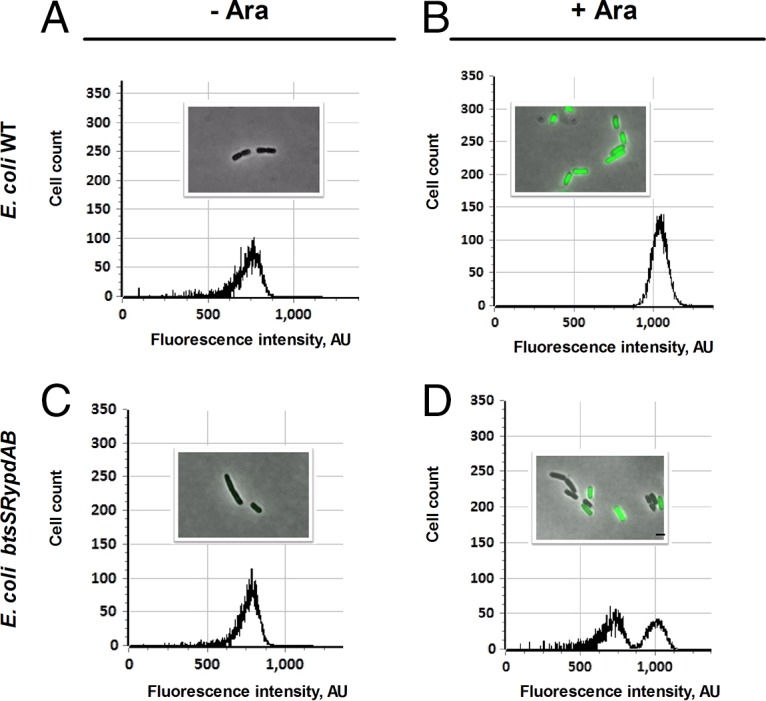 FIG 6