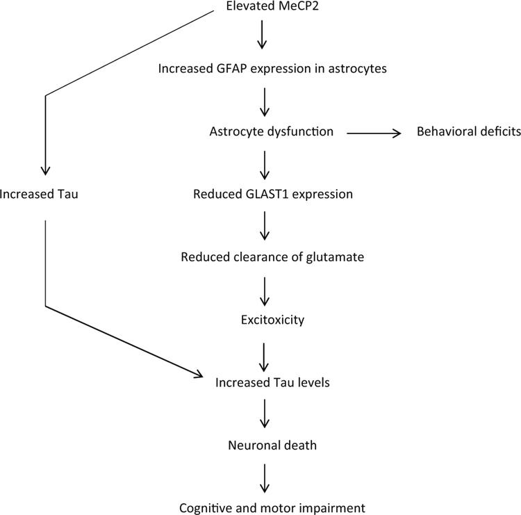 Fig. 13