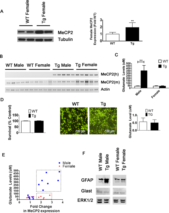 Fig. 12