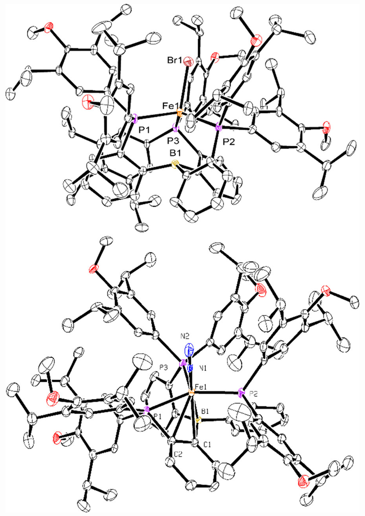 Figure 2.