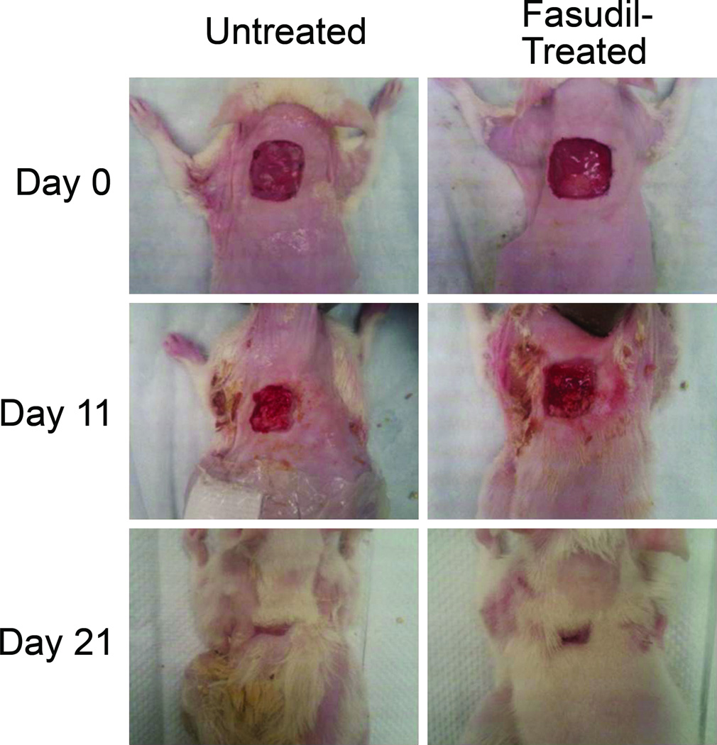 Fig.2