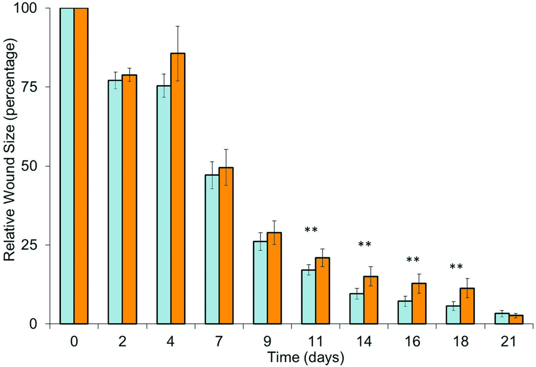 Fig.2