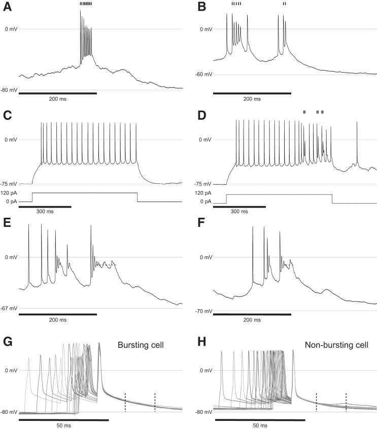 Fig. 9.